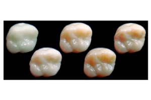 ジルコニアステイン